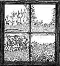 Eisblumenfenster