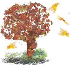 Der Vogel Rollrot