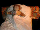Willi im Bett